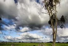 新利luck18官网登录入口:冰壶混双中国组合不敌韩国队止步半决赛.