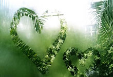 “丰”景在望 智慧农机、科学农技为小麦春管工作按下“加速键”.