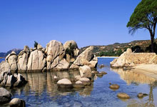 新利luck18:2022世界杯卡塔爾陣容名單.